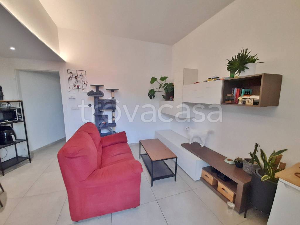 immagine annuncio 11 di 14