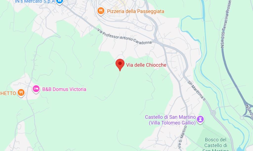 immagine annuncio 3 di 13