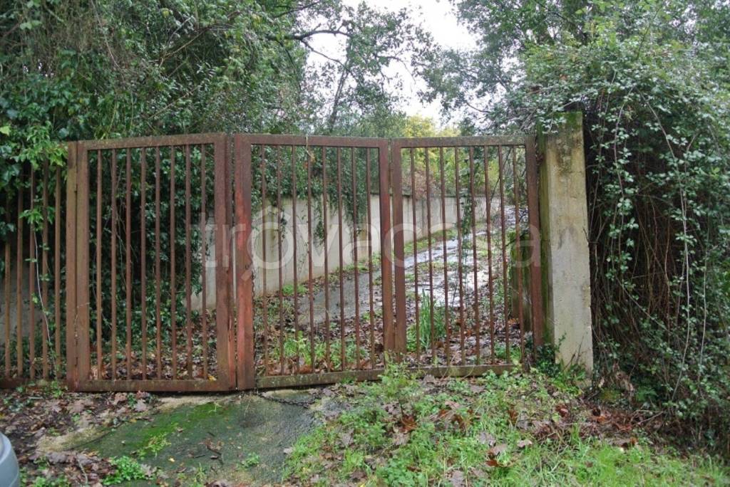 immagine annuncio 6 di 13