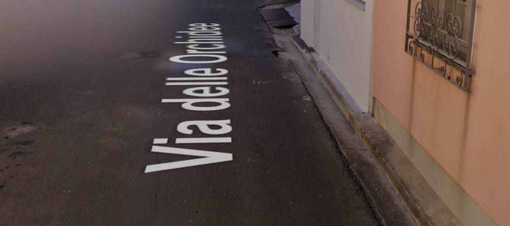 immagine annuncio 4 di 12