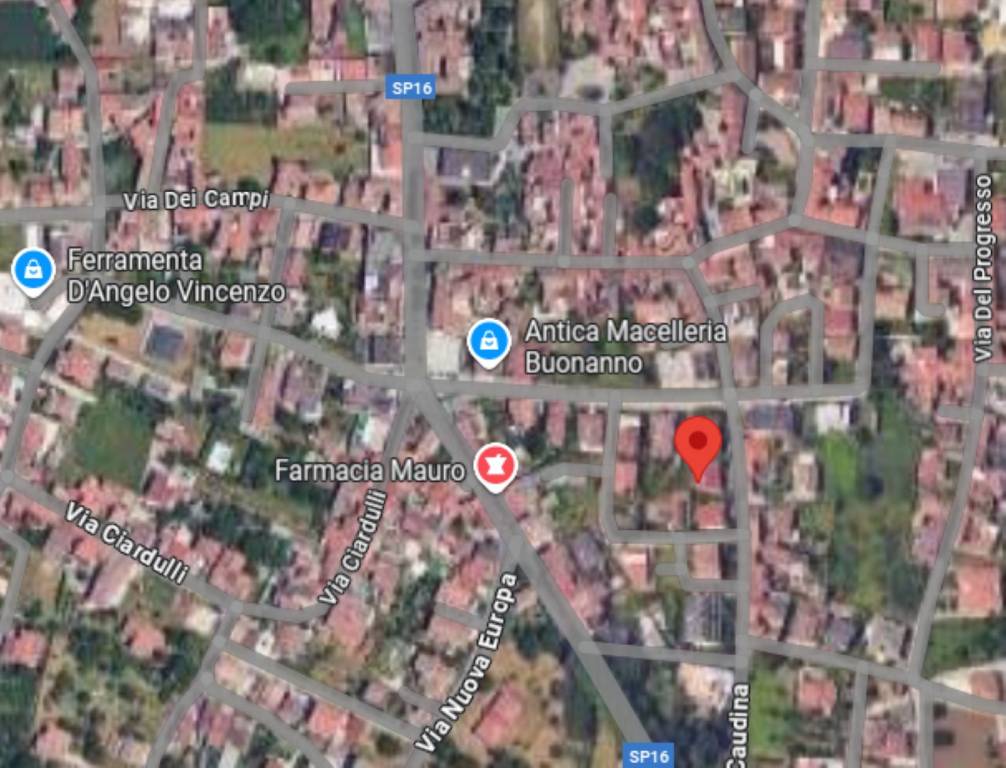 immagine annuncio 10 di 14