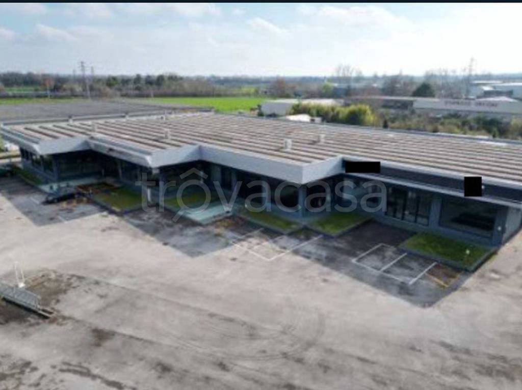 immagine annuncio 7 di 13