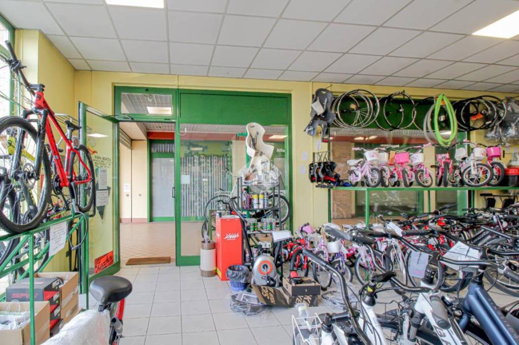 immagine annuncio 1 di 14