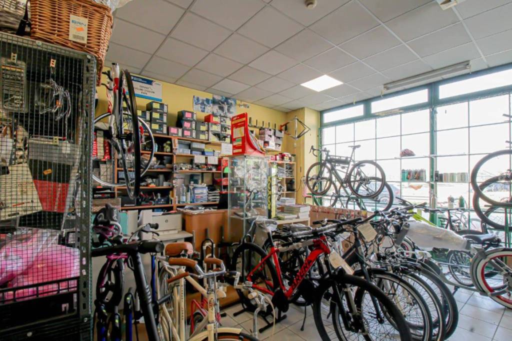 immagine annuncio 2 di 14