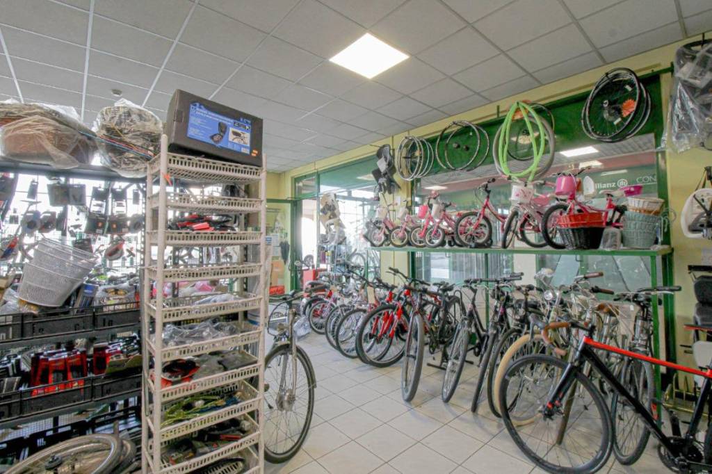 immagine annuncio 4 di 14