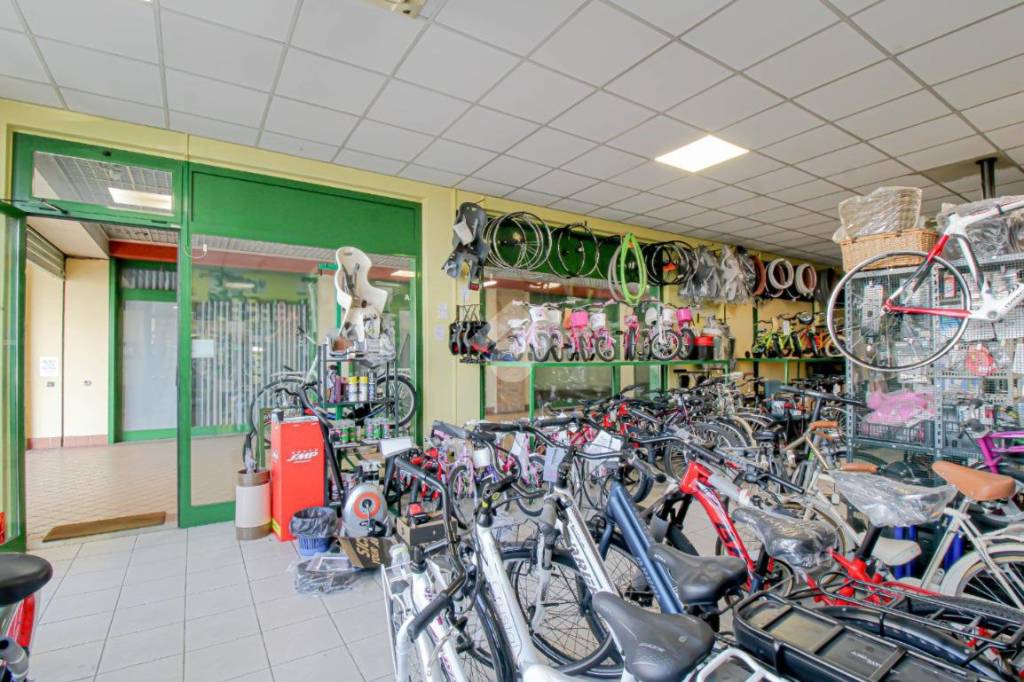 immagine annuncio 5 di 14