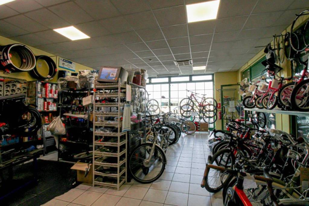 immagine annuncio 7 di 14