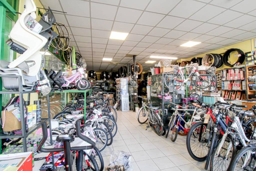 immagine annuncio 9 di 14