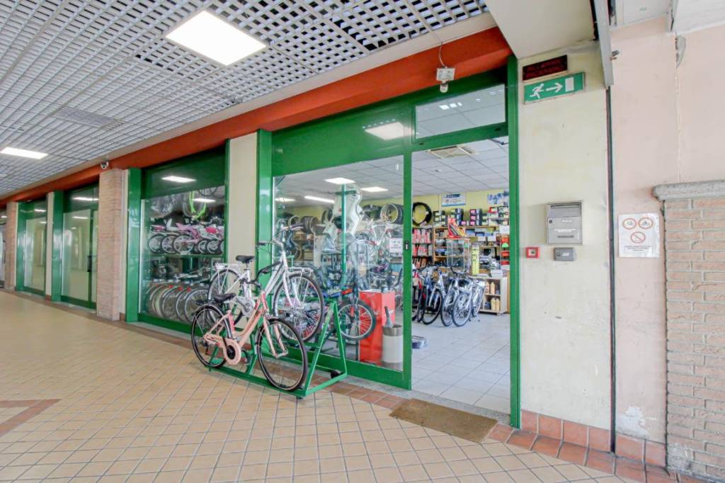 immagine annuncio 10 di 14