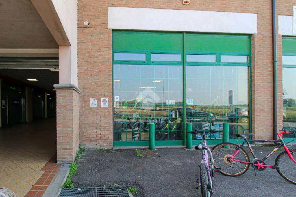 immagine annuncio 11 di 14