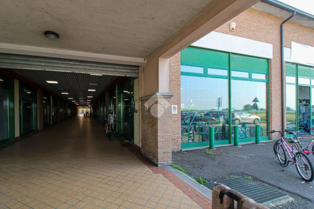 immagine annuncio 12 di 14