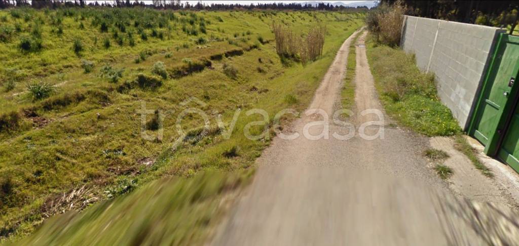 immagine annuncio 8 di 11