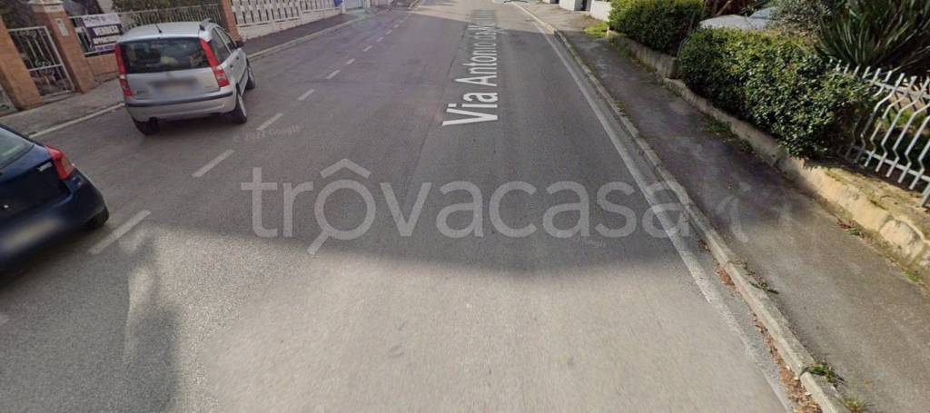 immagine annuncio 3 di 12