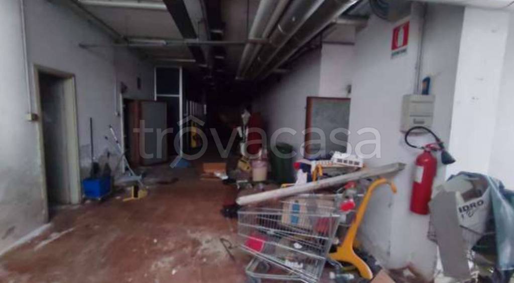 immagine annuncio 5 di 12