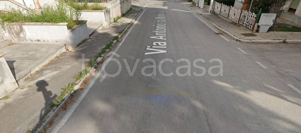 immagine annuncio 9 di 12