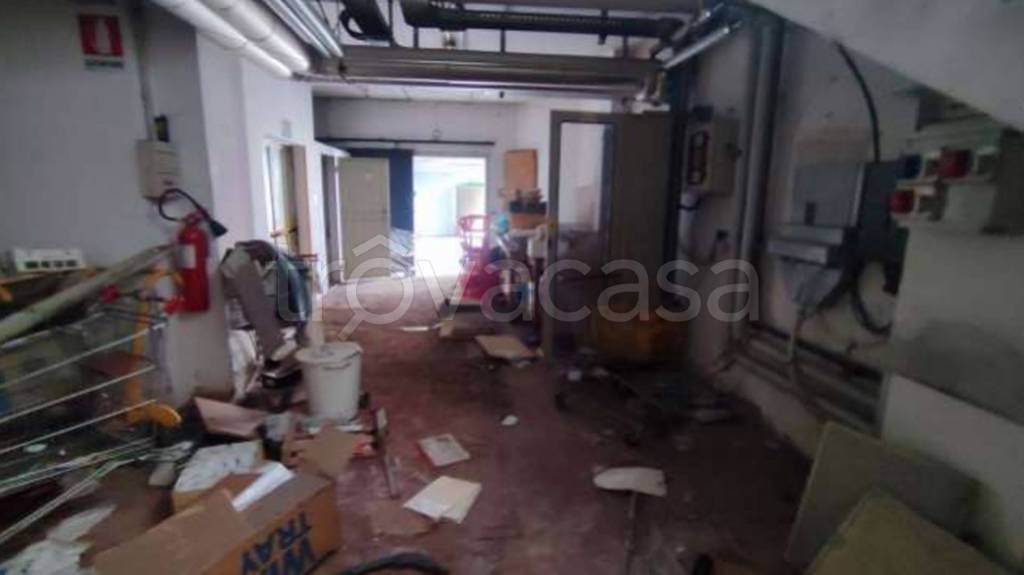 immagine annuncio 7 di 12