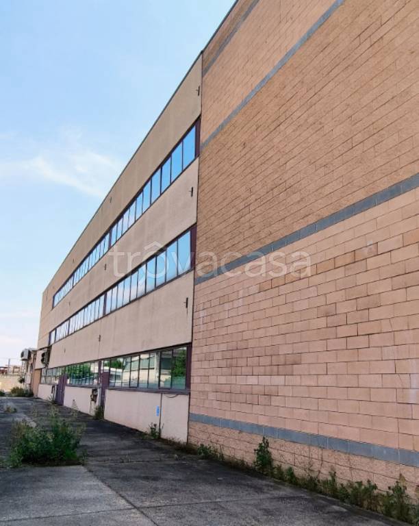 immagine annuncio 11 di 13