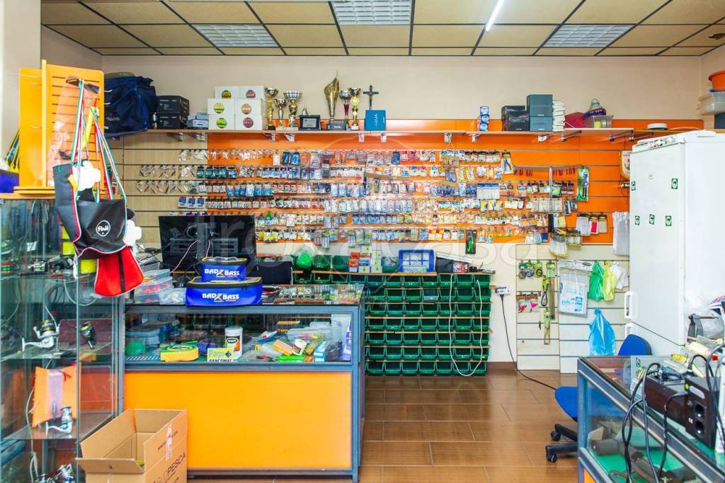 immagine annuncio 9 di 15