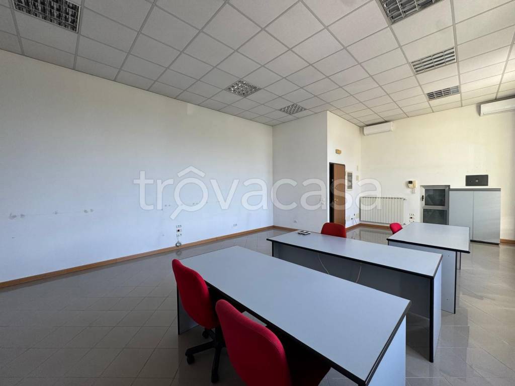 immagine annuncio 7 di 14