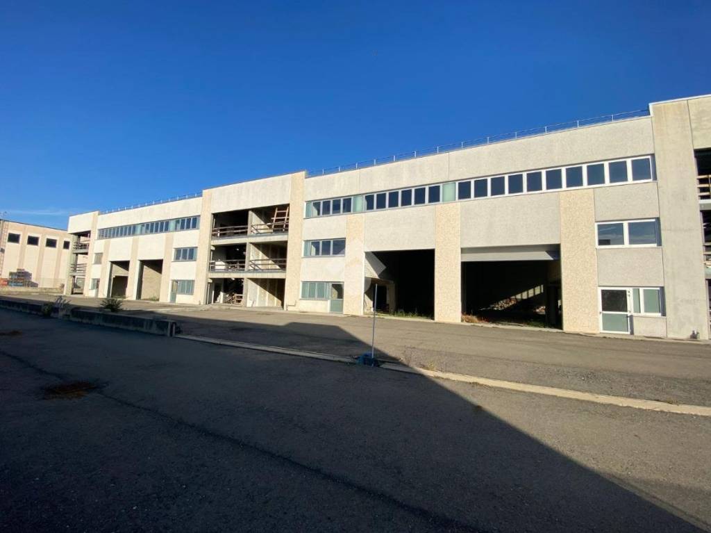 immagine annuncio 12 di 15