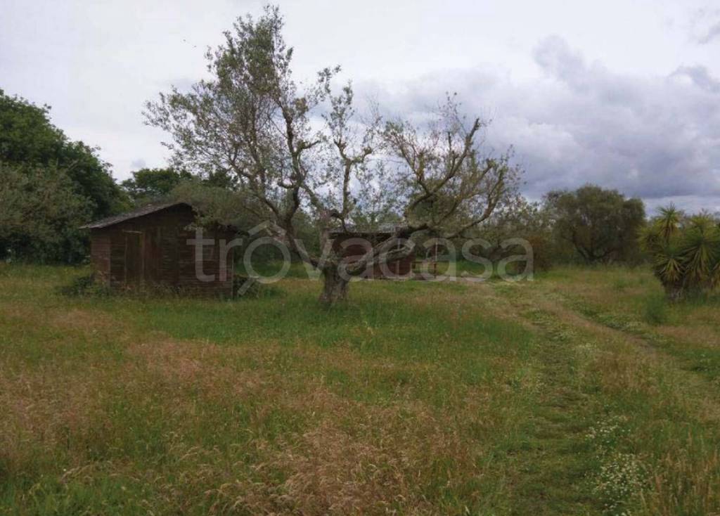 immagine annuncio 1 di 11