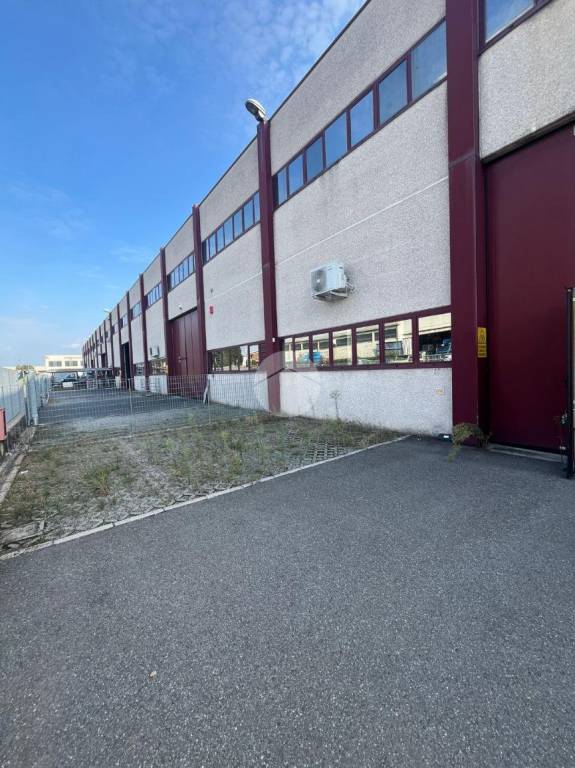 immagine annuncio 9 di 15