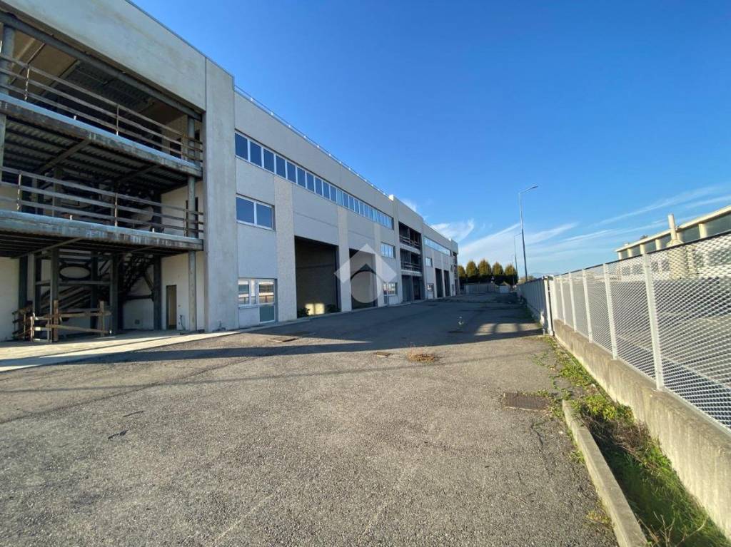 immagine annuncio 5 di 15