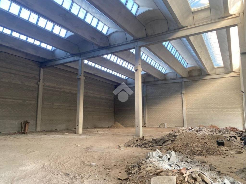 immagine annuncio 9 di 15