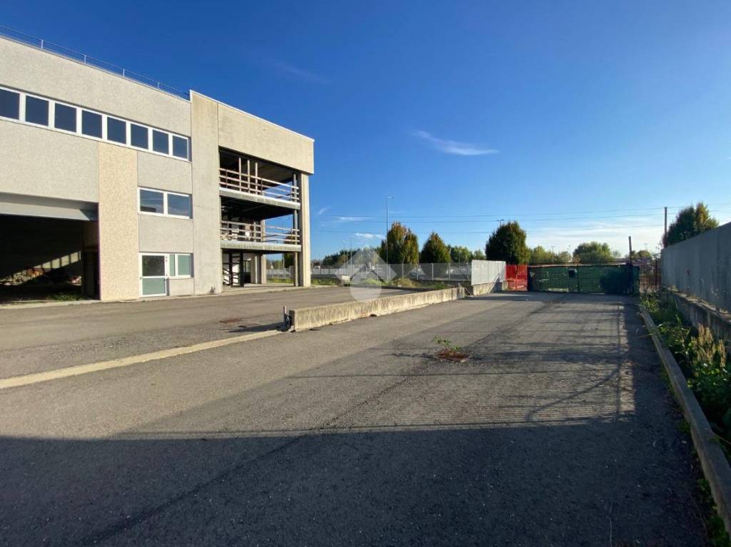 immagine annuncio 2 di 15