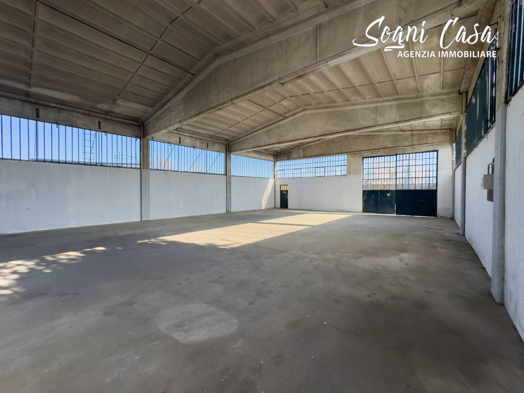 immagine annuncio 12 di 15