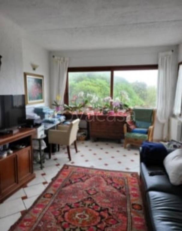 immagine annuncio 11 di 14