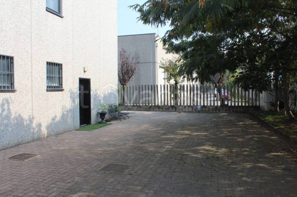 immagine annuncio 4 di 15