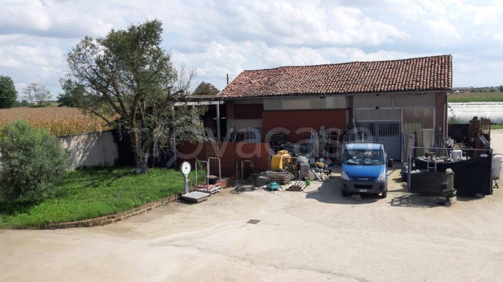 immagine annuncio 8 di 15