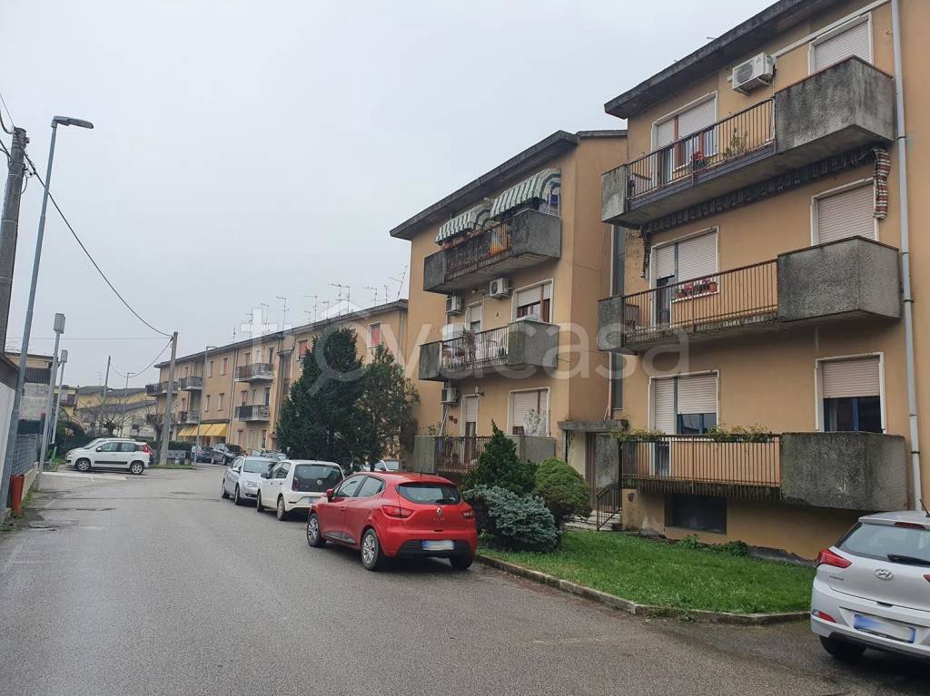 immagine annuncio 1 di 14