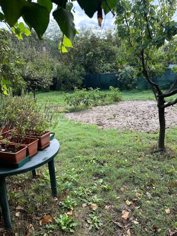 immagine annuncio 2 di 8