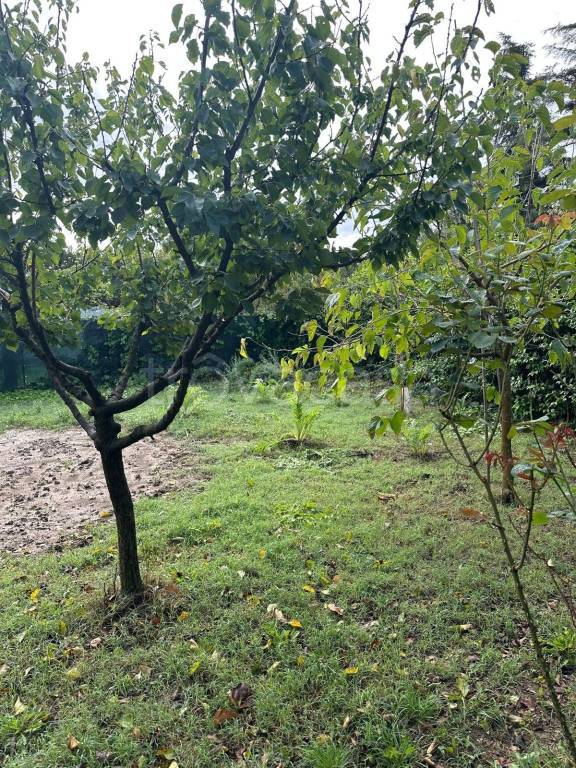 immagine annuncio 3 di 8