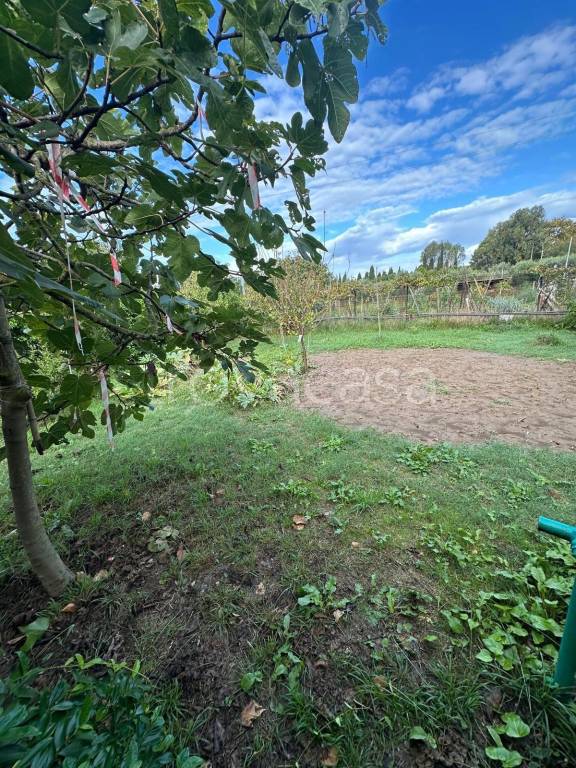 immagine annuncio 4 di 8