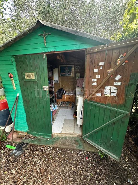 immagine annuncio 7 di 8