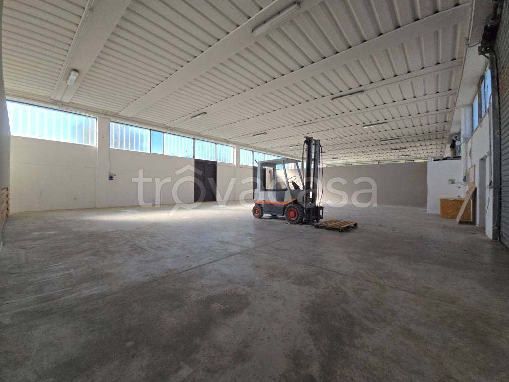 immagine annuncio 5 di 13