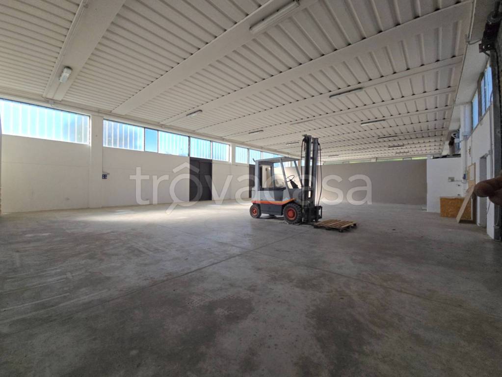 immagine annuncio 2 di 13