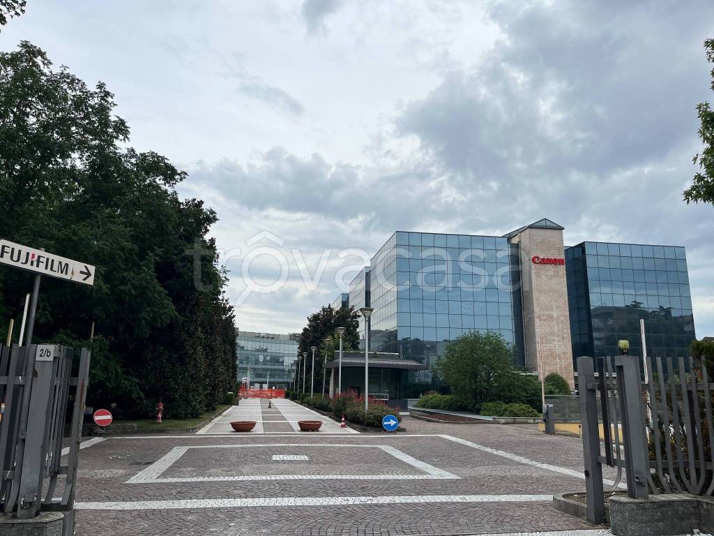 immagine annuncio 7 di 13