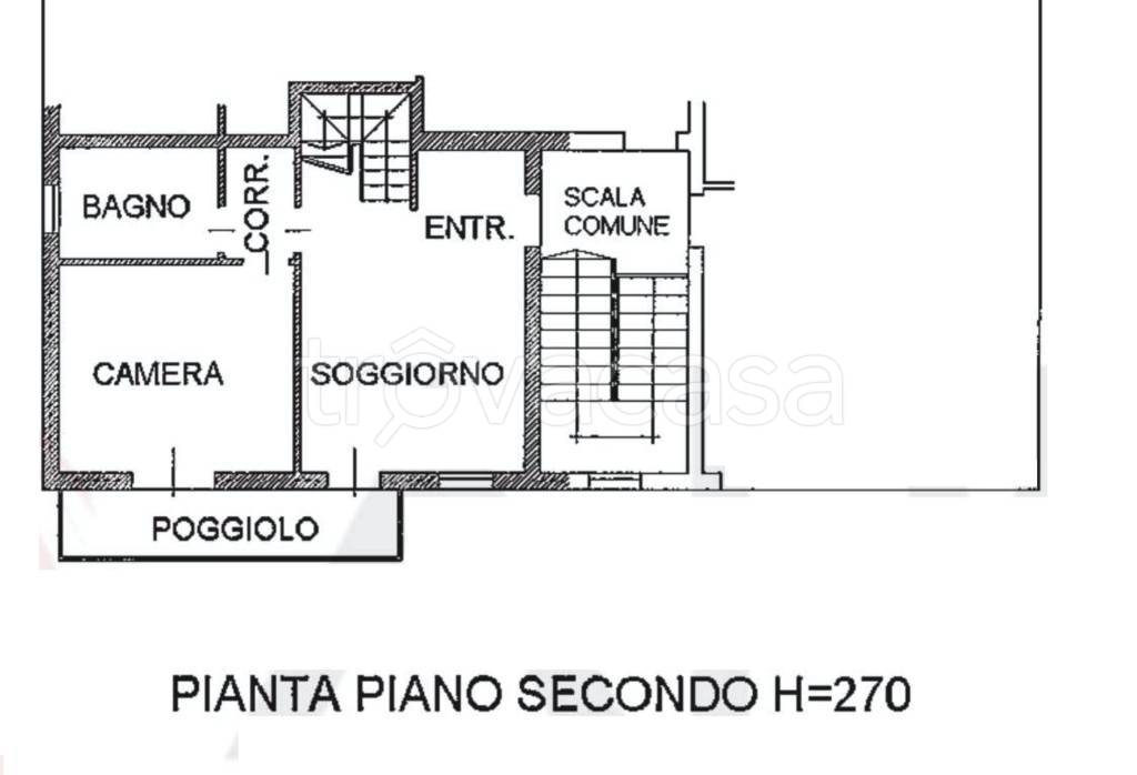 immagine annuncio 11 di 15