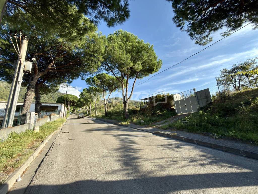 immagine annuncio 8 di 14