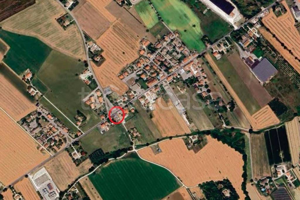 immagine annuncio 3 di 11