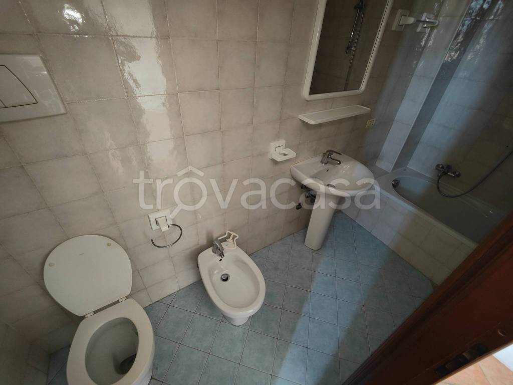 immagine annuncio 9 di 14