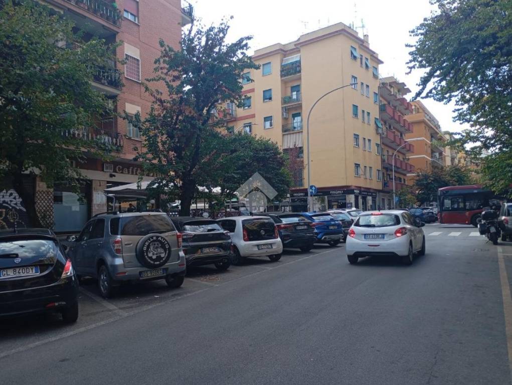 immagine annuncio 9 di 12