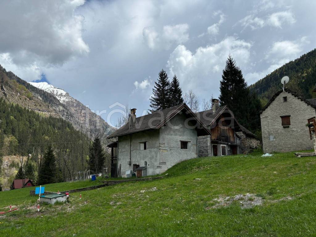 immagine annuncio 11 di 15