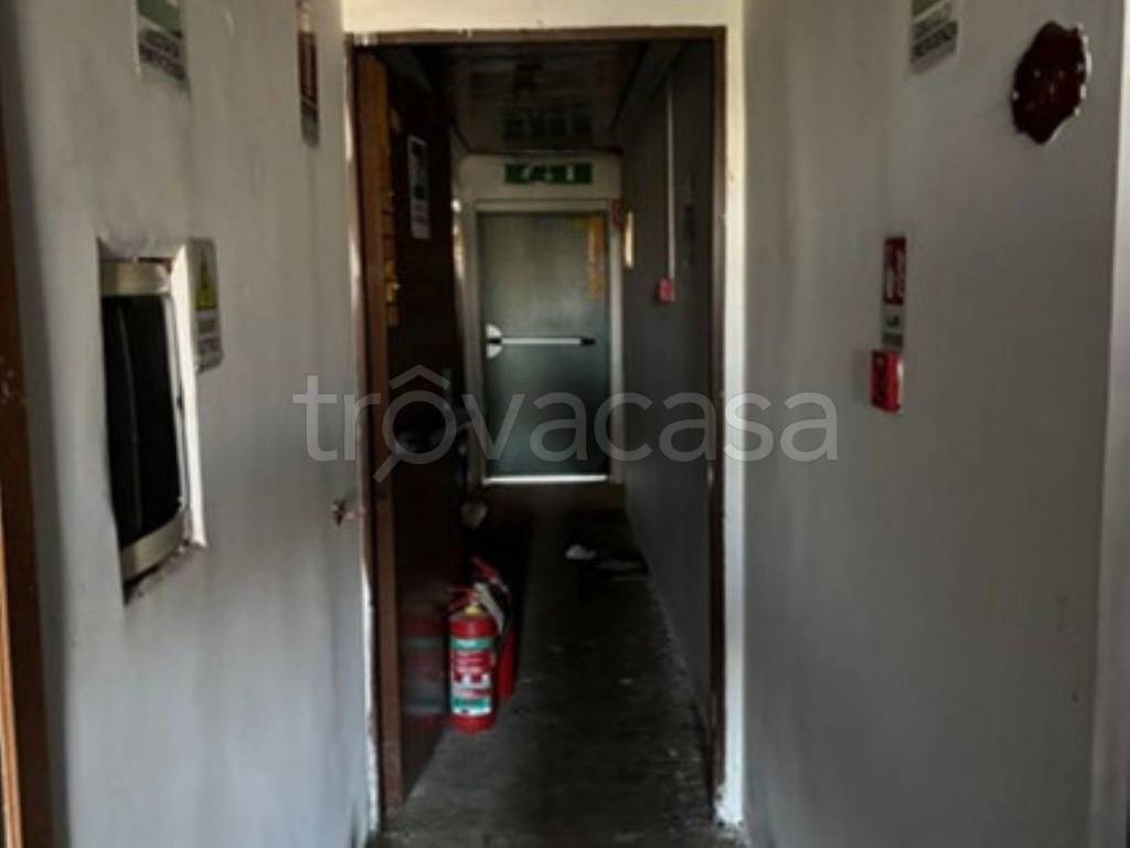 immagine annuncio 6 di 14