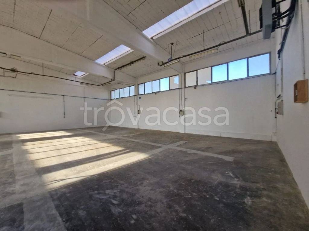 immagine annuncio 2 di 9