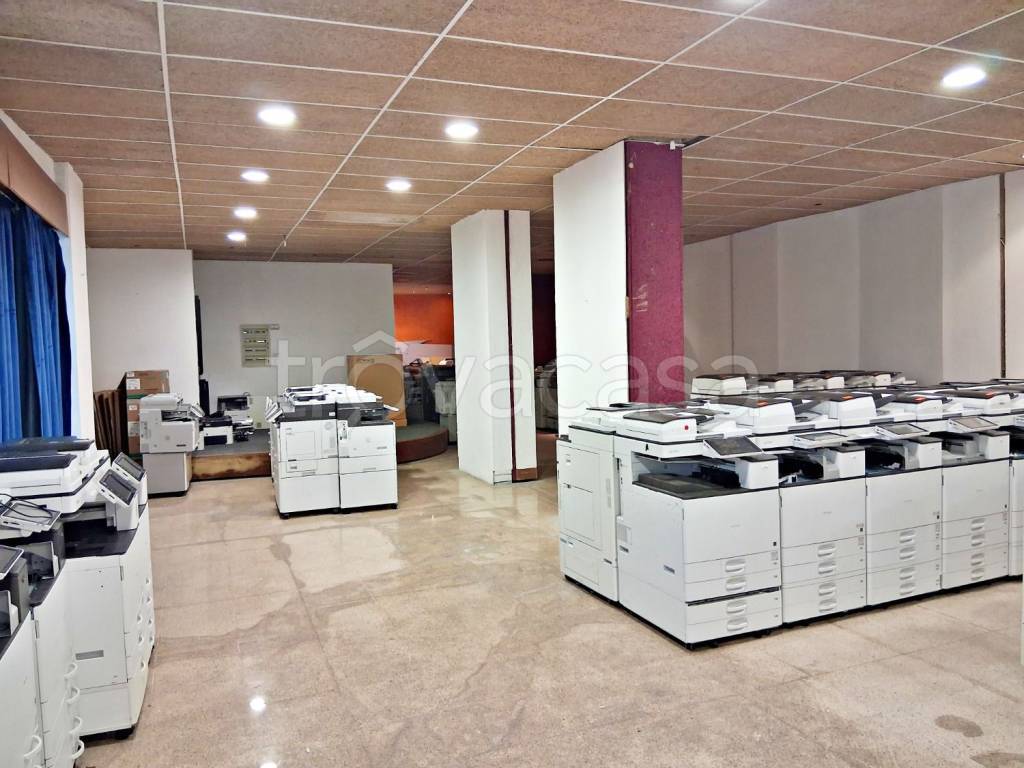 immagine annuncio 4 di 9